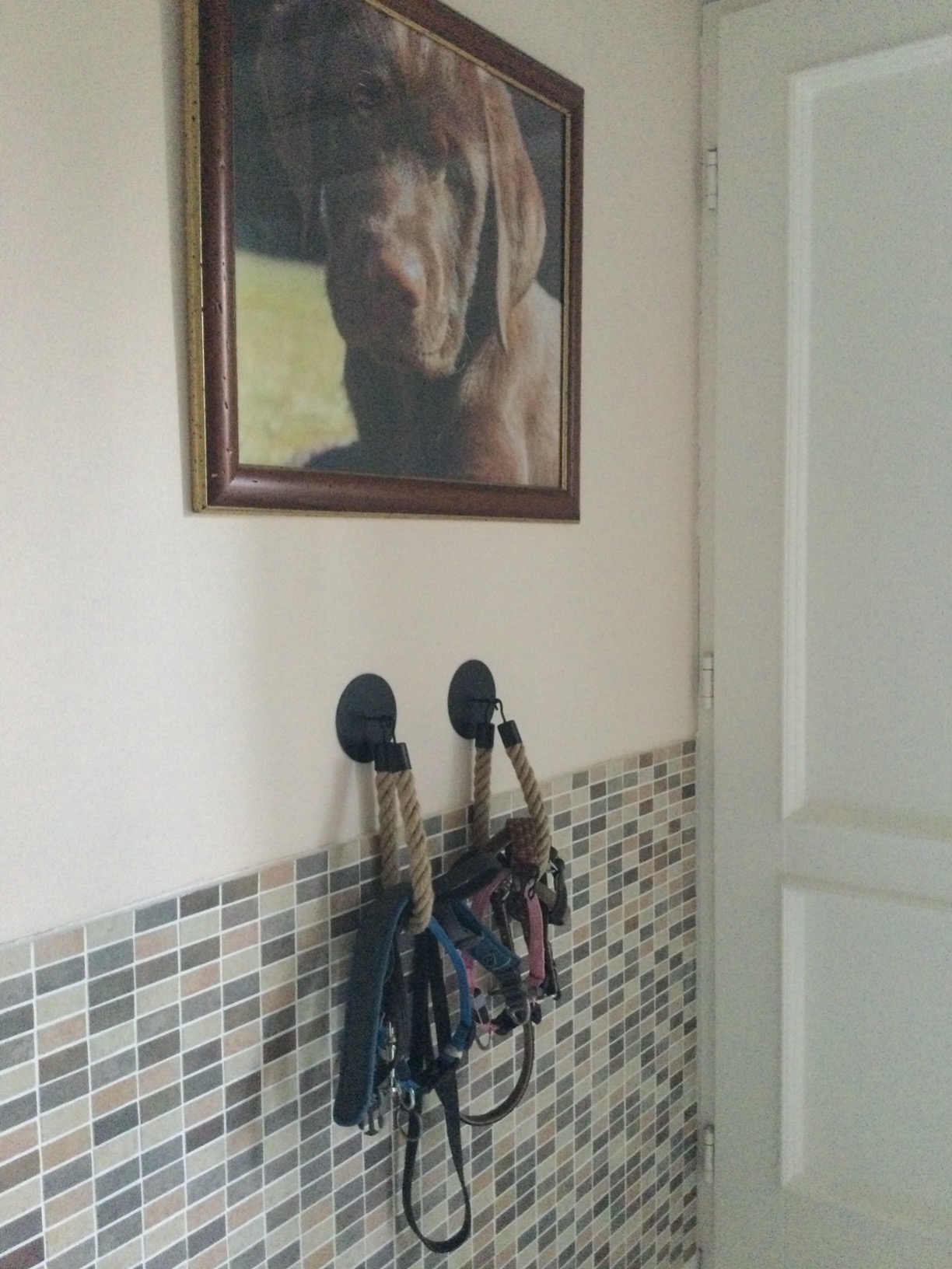 Sieht cool aus