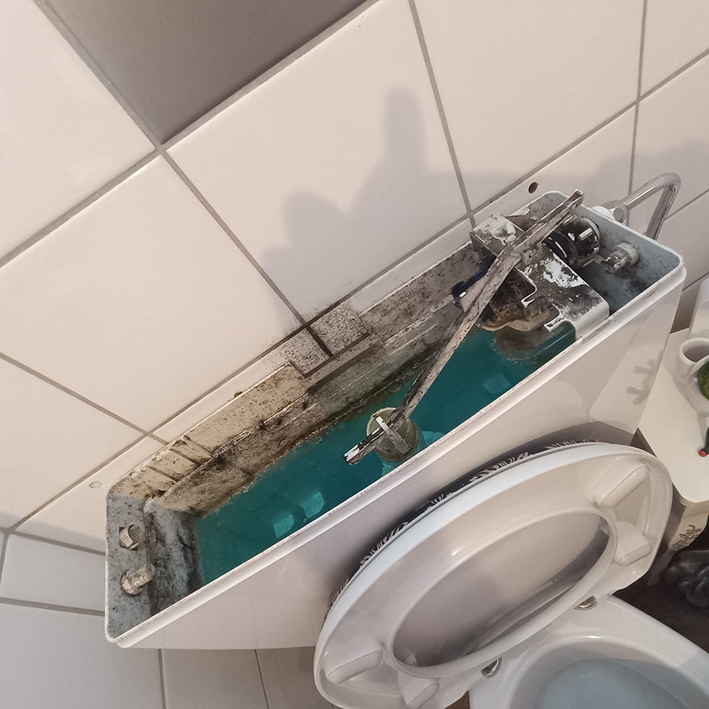 Einfach reinlegen
