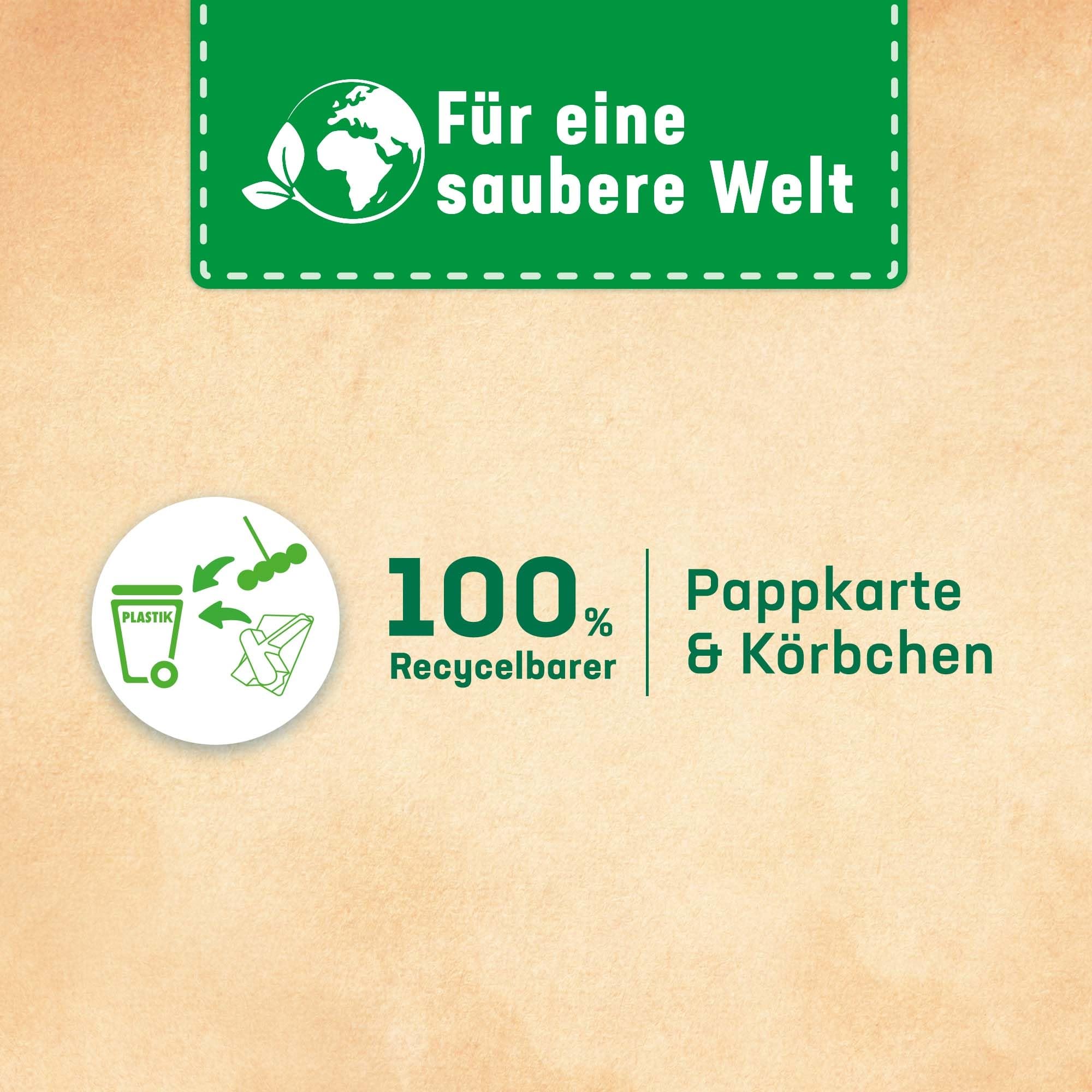 wc-frisch-kraft-aktiv-duftsp-ler-minze-eukalyptus-10er-pack image 7