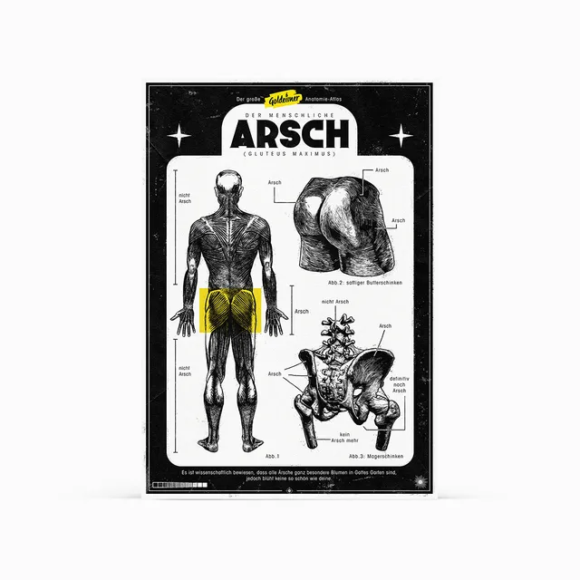 goldeimer-basic-der-menschliche-arsch-poster-a2-anatomie image 1